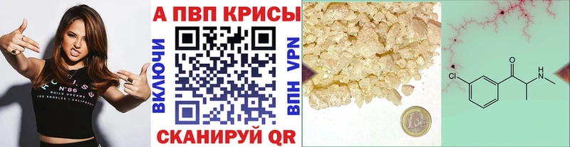 A-PVP СК Заринск