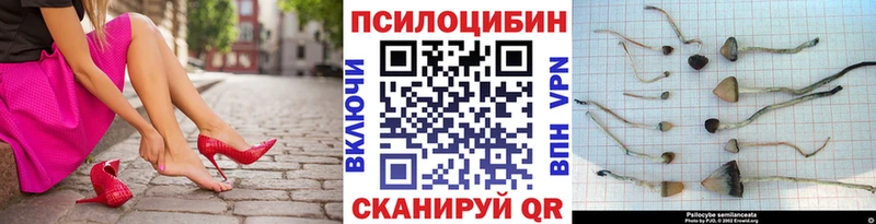 Псилоцибиновые грибы Cubensis  Купить  Заринск 